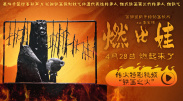 视频一区二区三区自拍